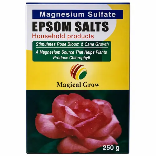 Epsom Salt 250 gm in Pakistan at best price