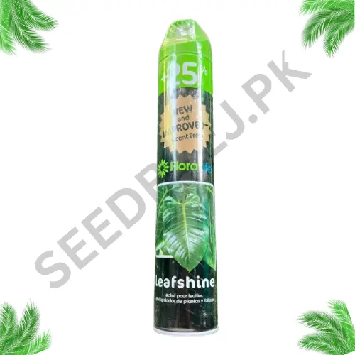 Floralife Leafshine Spray for indoor plants providing natural shine and dust-free healthy green leaves