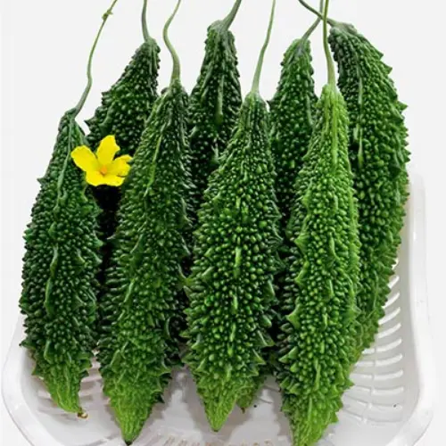 Bitter gourd seeds Hybrid F1 price in Pakistan F1 hybrid karela seeds high yield vegetable seeds packet Seedbeej.pk
