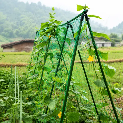 Best crop net in Pakistan