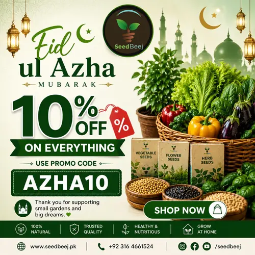 Seed Beej Offer