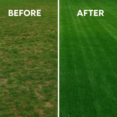 SPRT Lawn Fertilizer 1kg Pakistan for green grass and healthy lawns
