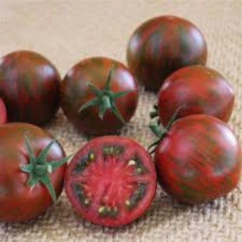 Striped zebra cherry tomatoes growing on plant Striped zebra cherry tomatoes growing on plant