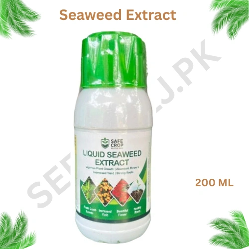 Liquid Seaweed Extract Fertilizer for Plants Liquid Seaweed Extract Fertilizer for Plants