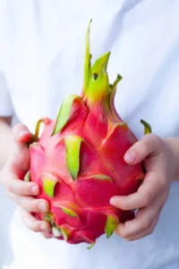 Dragon Fruit Plant Care Tips & Growing Guide