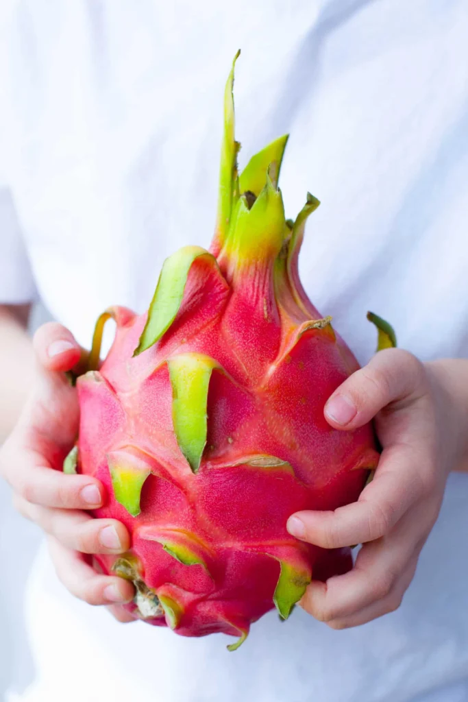 Dragon Fruit Plant Care Tips & Growing Guide Dragon Fruit Plant Care Tips & Growing Guide
