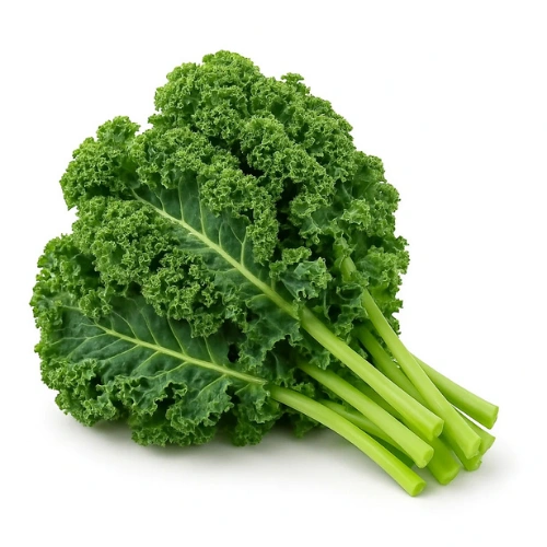 Buy curly kale seeds at best price in Pakistan Buy curly kale seeds at best price in Pakistan