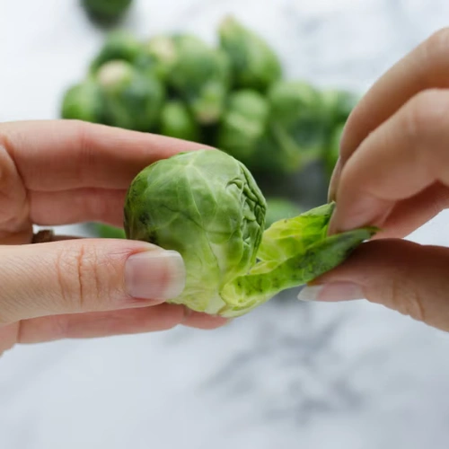 Buy Brussels Sprouts seeds
