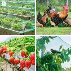 Bird Net Anti Bird Netting for Plants and Garden in Pakistan Bird Net Anti Bird Netting for Plants and Garden in Pakistan