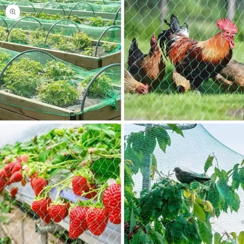 Bird Net Anti Bird Netting for Plants and Garden in Pakistan