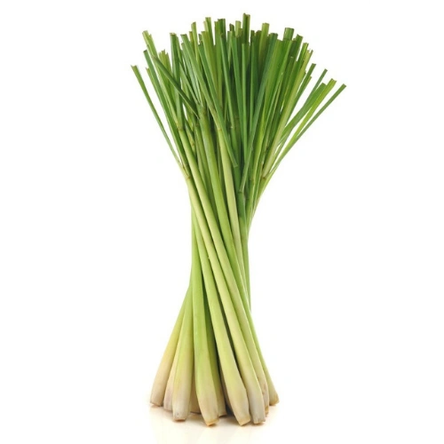 Buy Lemon grass seeds in Pakistan