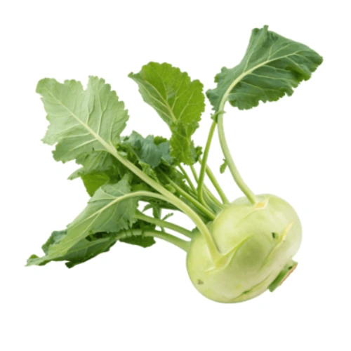 kohlrabi seeds online in Pakistan kohlrabi seeds online in Pakistan