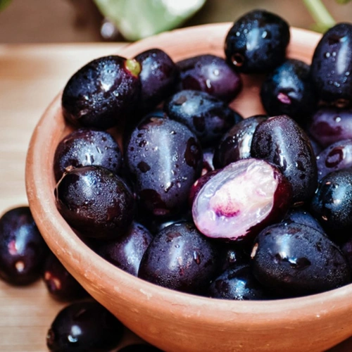 Jamun Plant in Pakistan